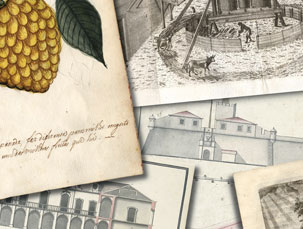 agenda 2008 |  Exposição | A América Portuguesa
